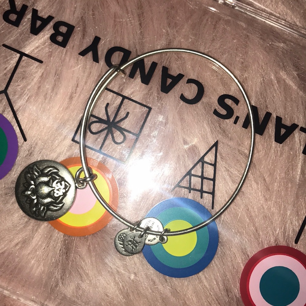 ALEX AND ANI bracelet